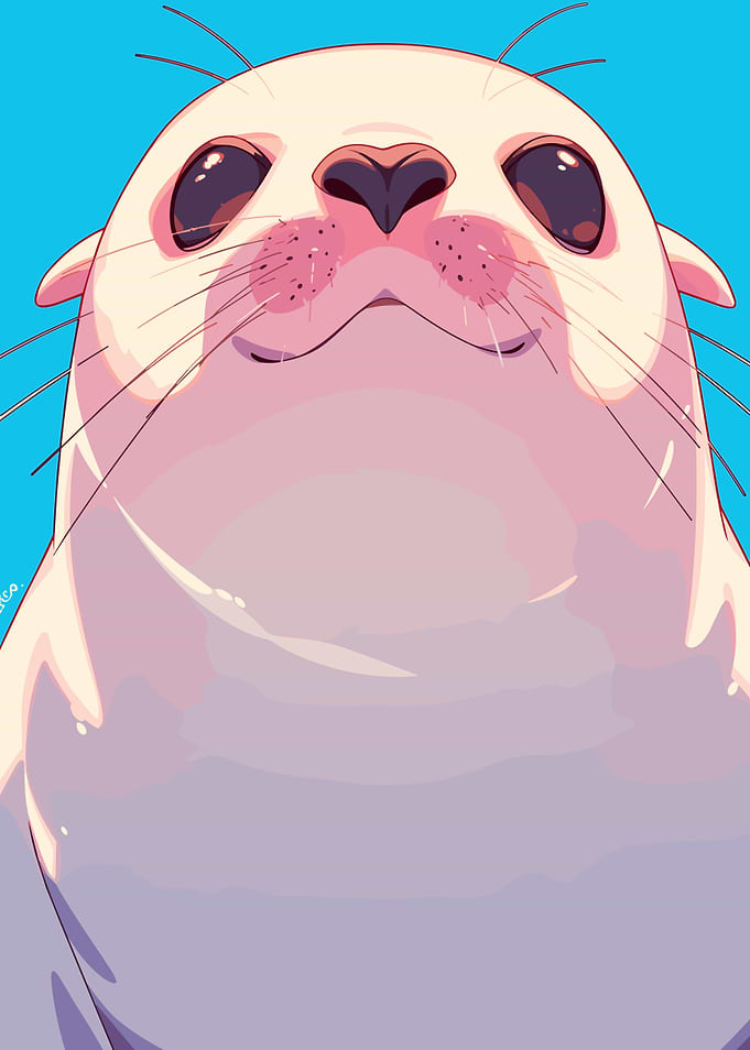 Cute Seal Cartoon Illustration