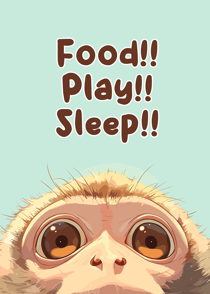 Food, Play, Sleep Monkey