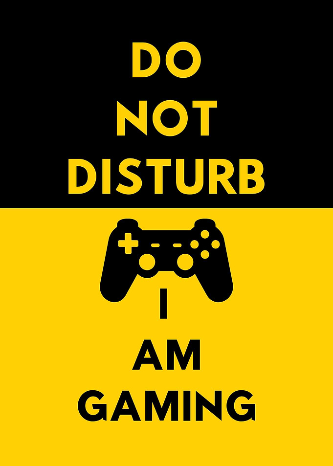 Do Not Disturb Gaming Poster