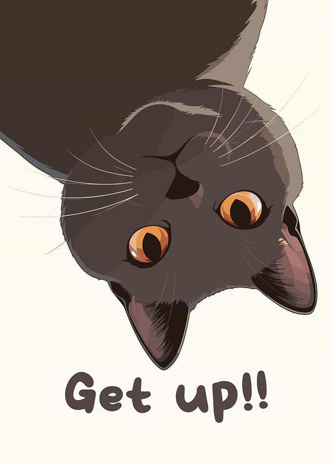 Upside-Down Cat with 'Get up!!' Text