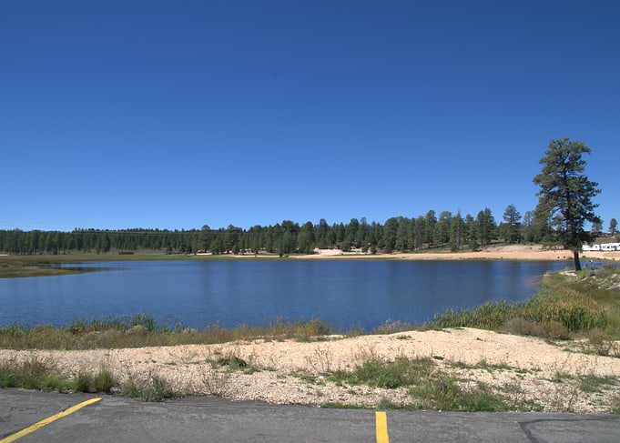 Lake and Forest Landscape