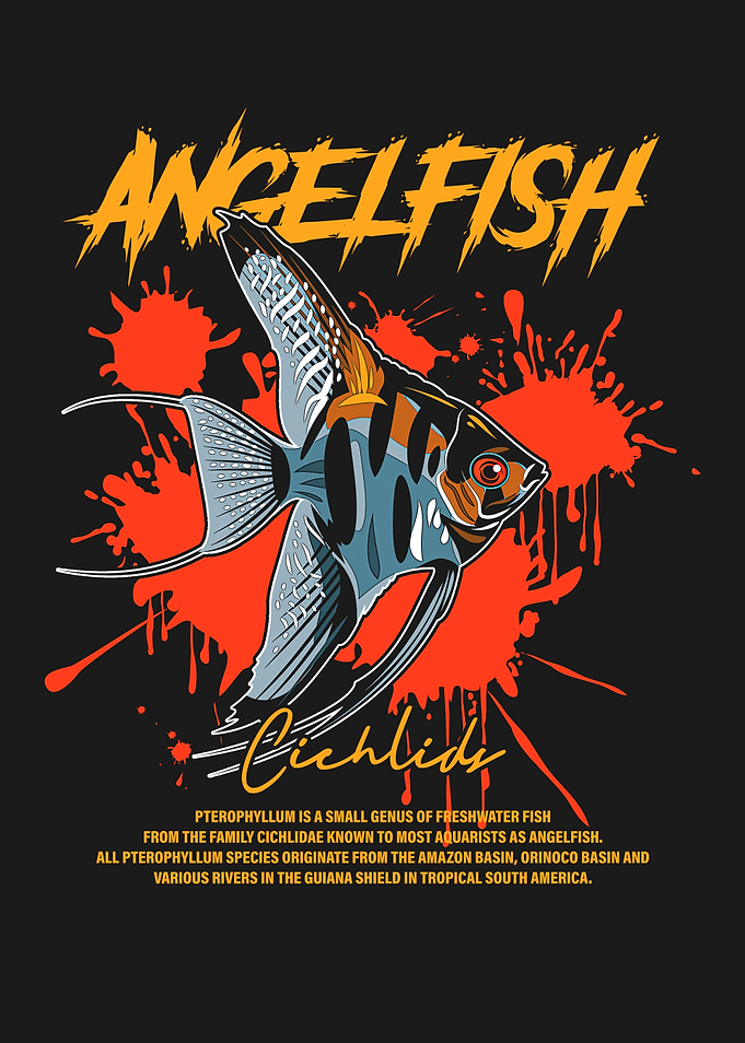Angelfish Cichlids Tropical Fish Keeper
