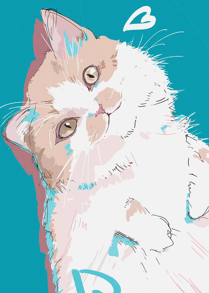 Cute Cat Illustration on Teal Background