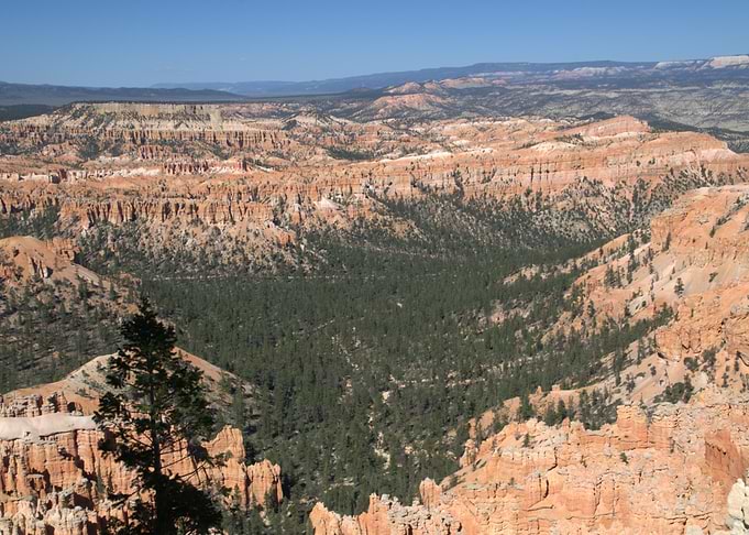 Bryce Canyon National Park Landscape
