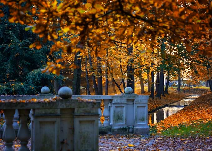 Autumn Park Scene with Stone Bridge