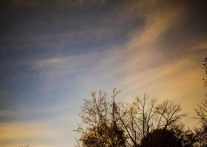 Night Sky with Trees