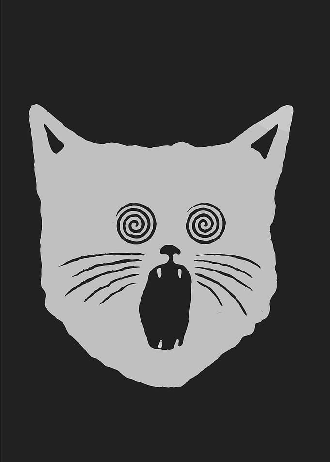 Hypnotized Cat Face Illustration
