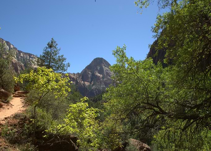 Zion National Park Mountain View with Green Trees