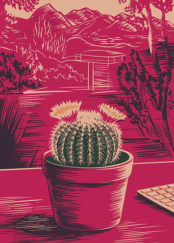 Cactus in Pot with Red Landscape