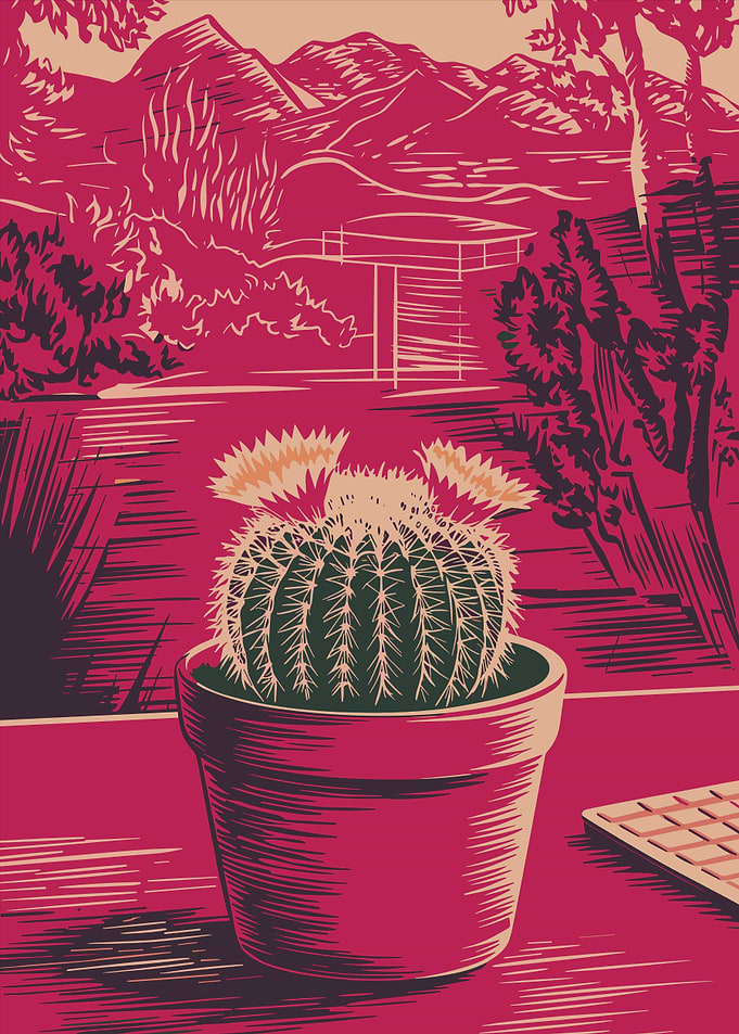 Cactus in Pot with Red Landscape
