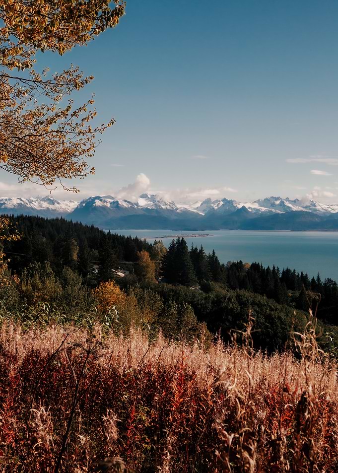 Homer, Alaska