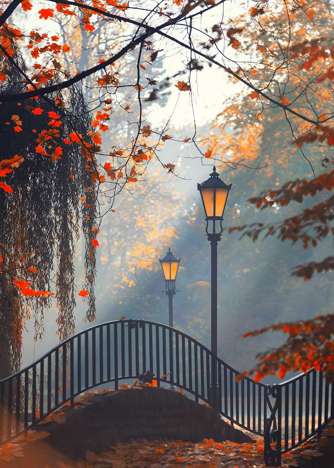 Autumn Park Bridge with Street Lamps