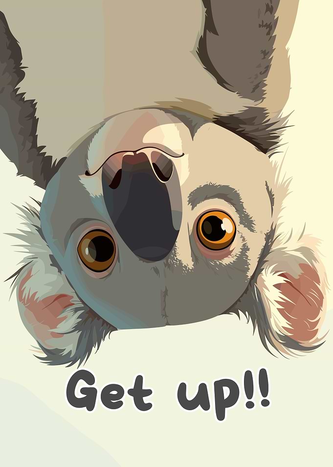 Upside-Down Koala with 'Get up!!' Text