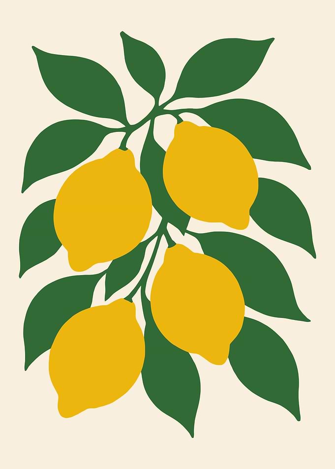 Lemon Branch Illustration