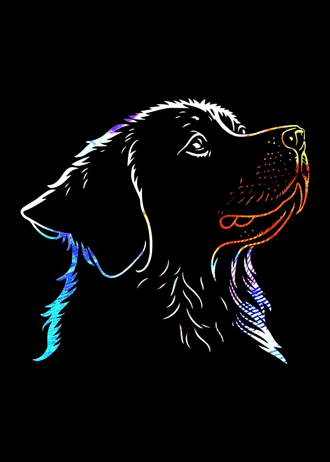 Colorful Dog Portrait on Black Background