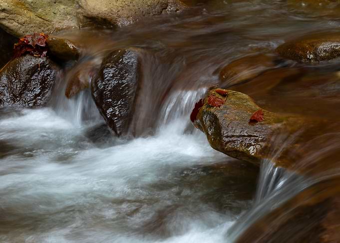 Water flowing over rocks in stream