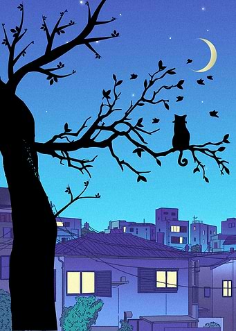 Cat Silhouette on Tree Branch at Night