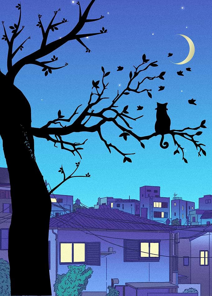 Cat Silhouette on Tree Branch at Night