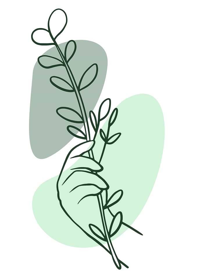 Hand Holding Plant Line Art