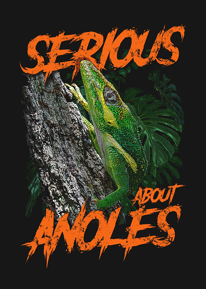 Serious About Anoles Lizards