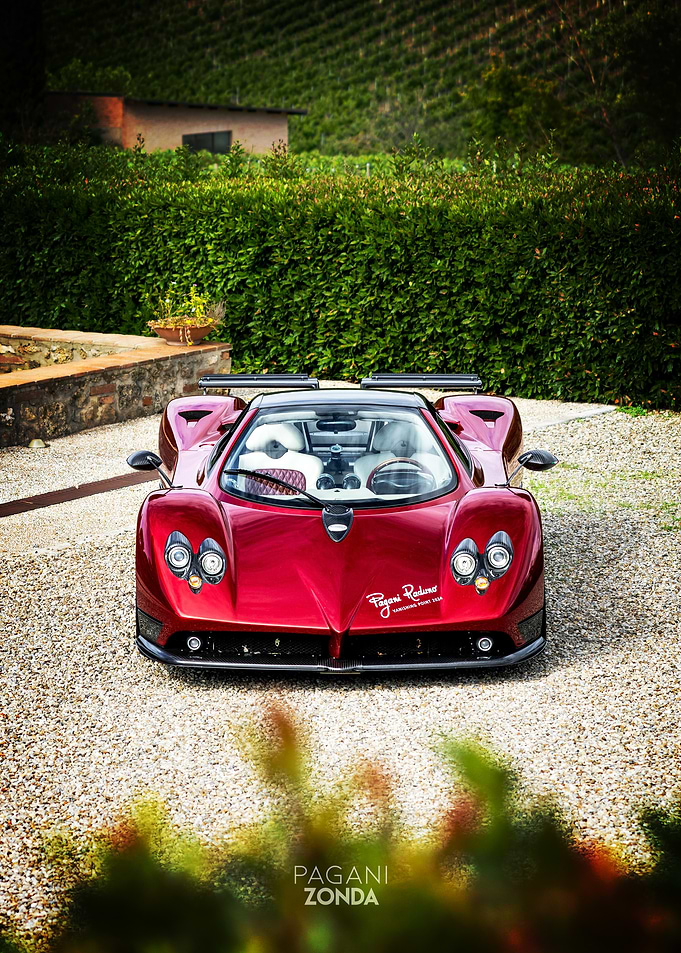 Pagani Zonda in a Vineyard Setting