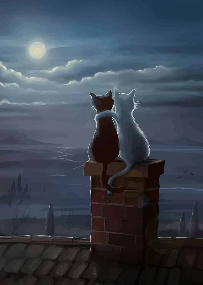 Cats on Chimney Under Moonlight