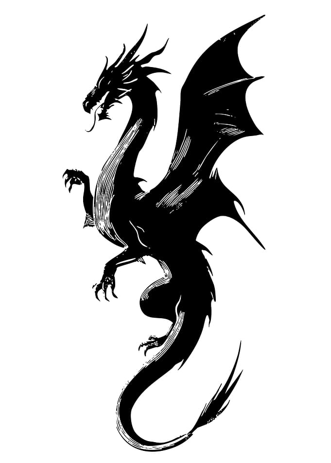 Black Dragon Silhouette