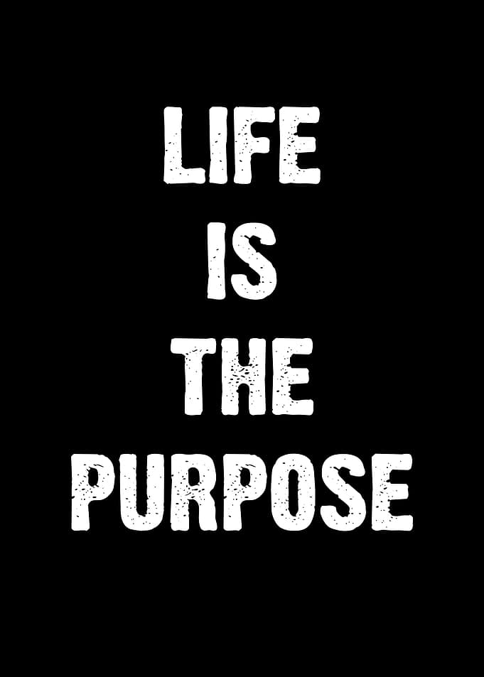 Life is the Purpose Text Art