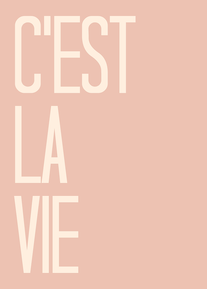 C'est La Vie Text Art