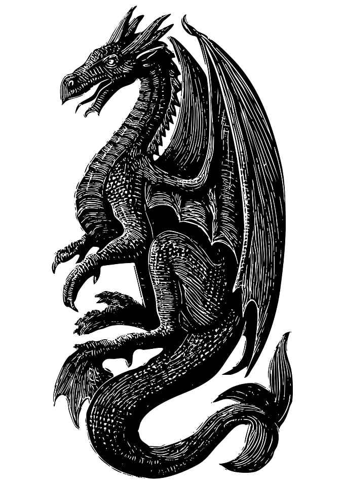 Detailed Black Dragon Illustration