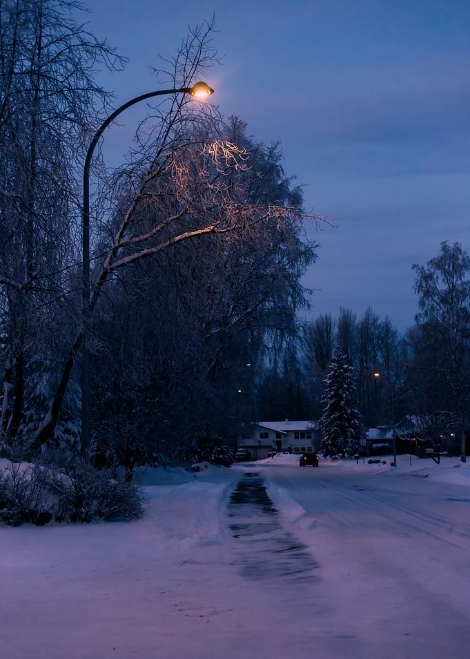 Winter Walk