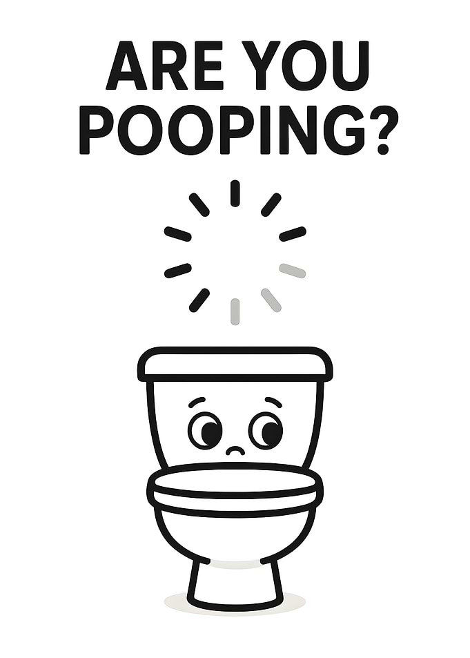 Are You Pooping? Funny Toilet Art