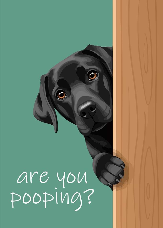 Curious Dog Asks 'Are You Pooping?'
