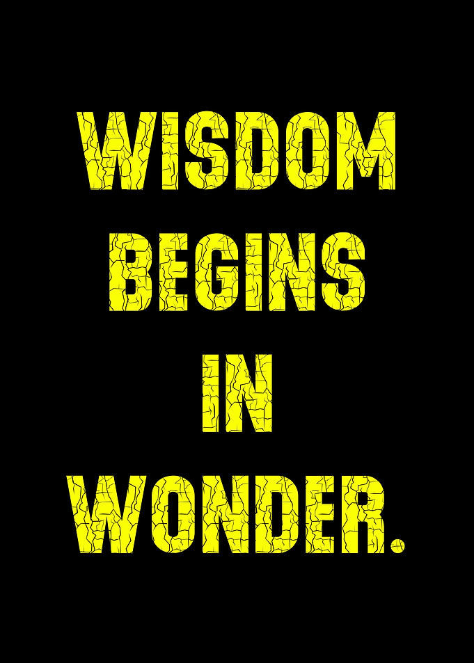 Wisdom Begins in Wonder
