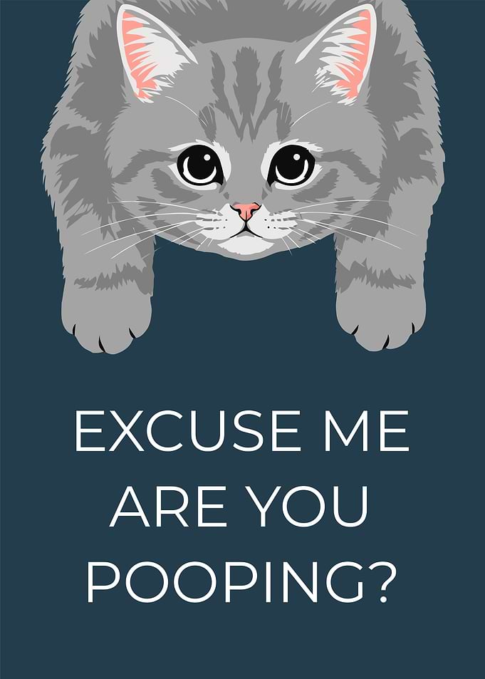 EXCUSE ME ARE YOU POOPING?