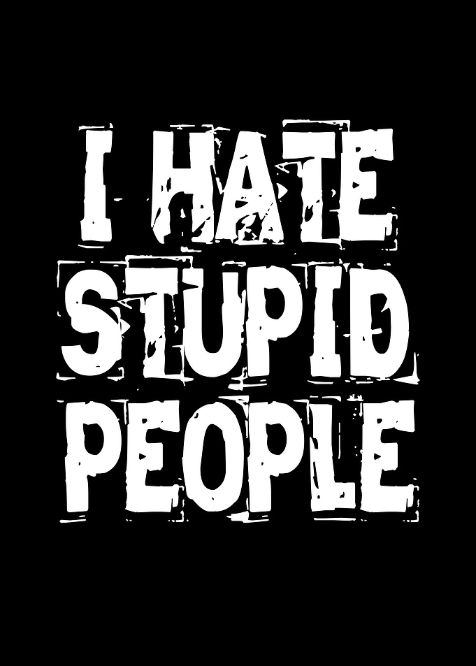 I Hate Stupid People Text Art