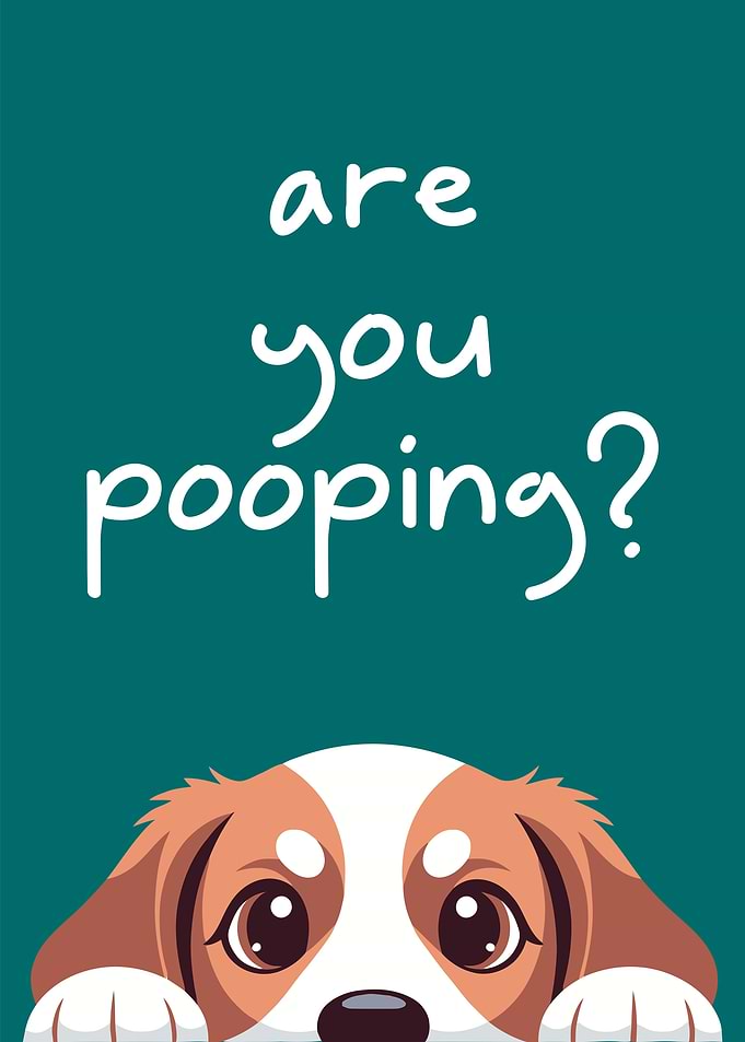 Are you pooping? Dog illustration