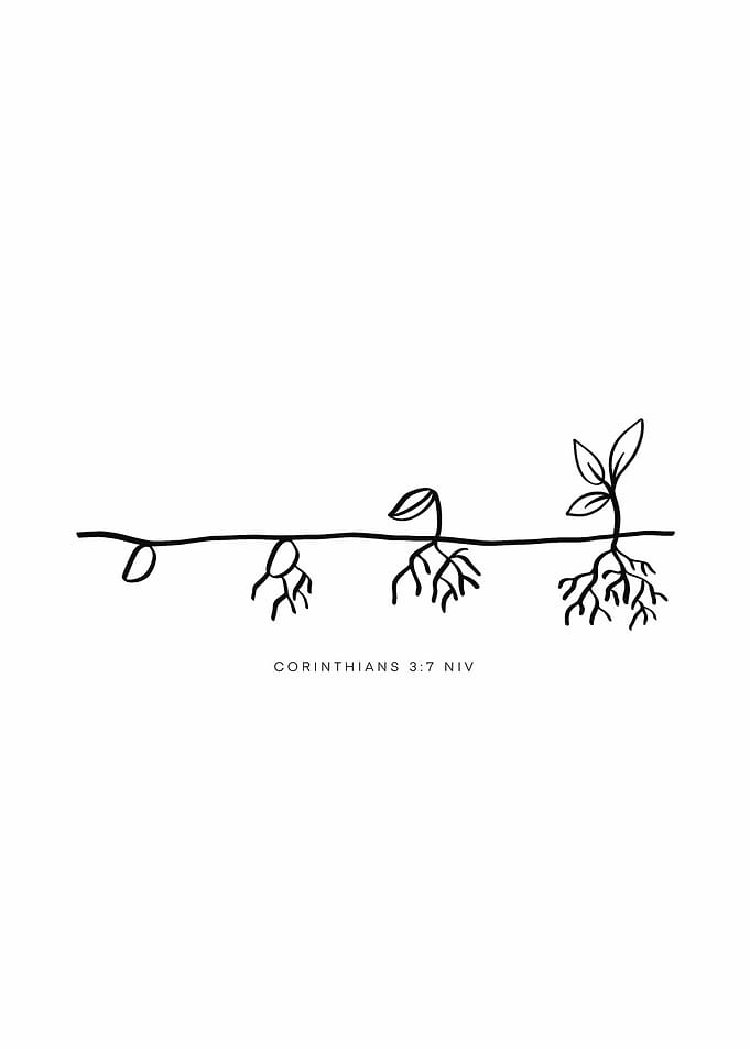 Seedling Growth Stages with Bible Verse