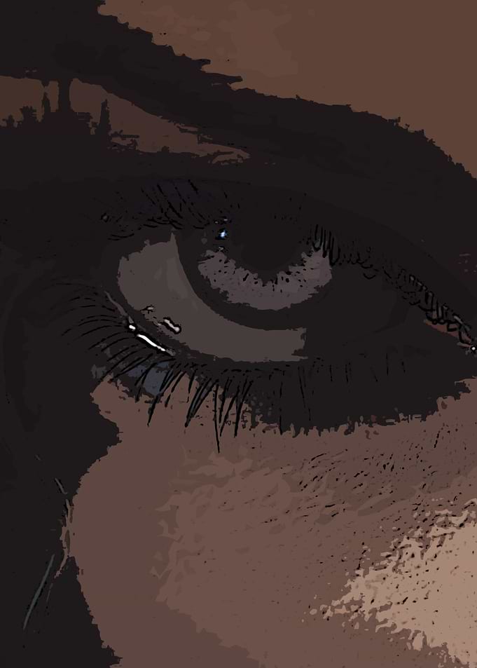 Close-up of a Brown Eye