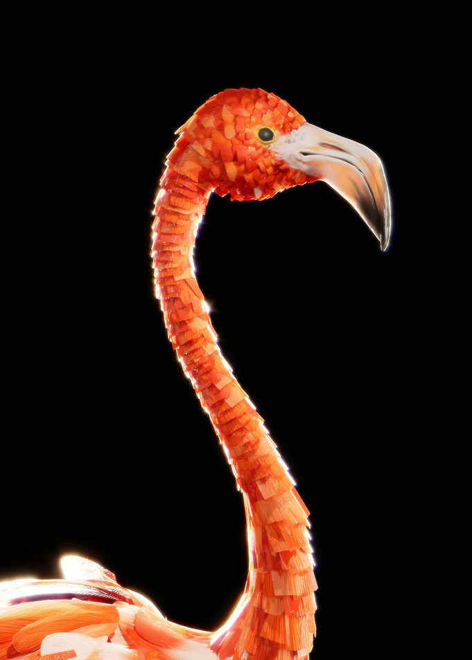Flamingo Sculpture on Black Background