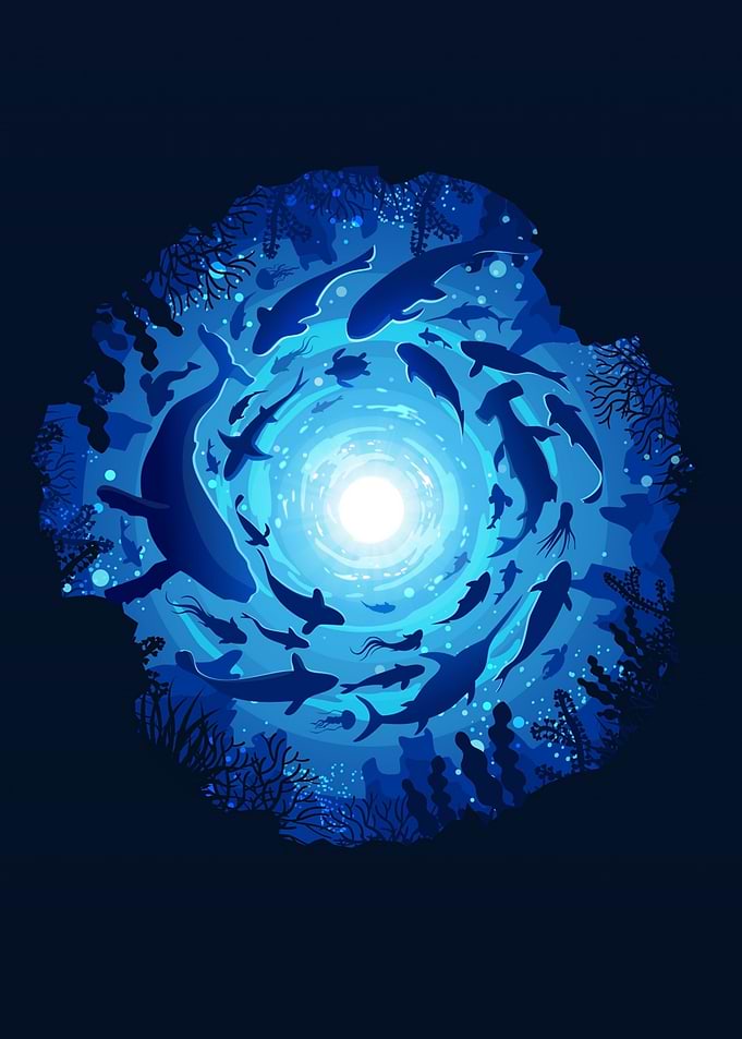 Underwater Marine Life Circle