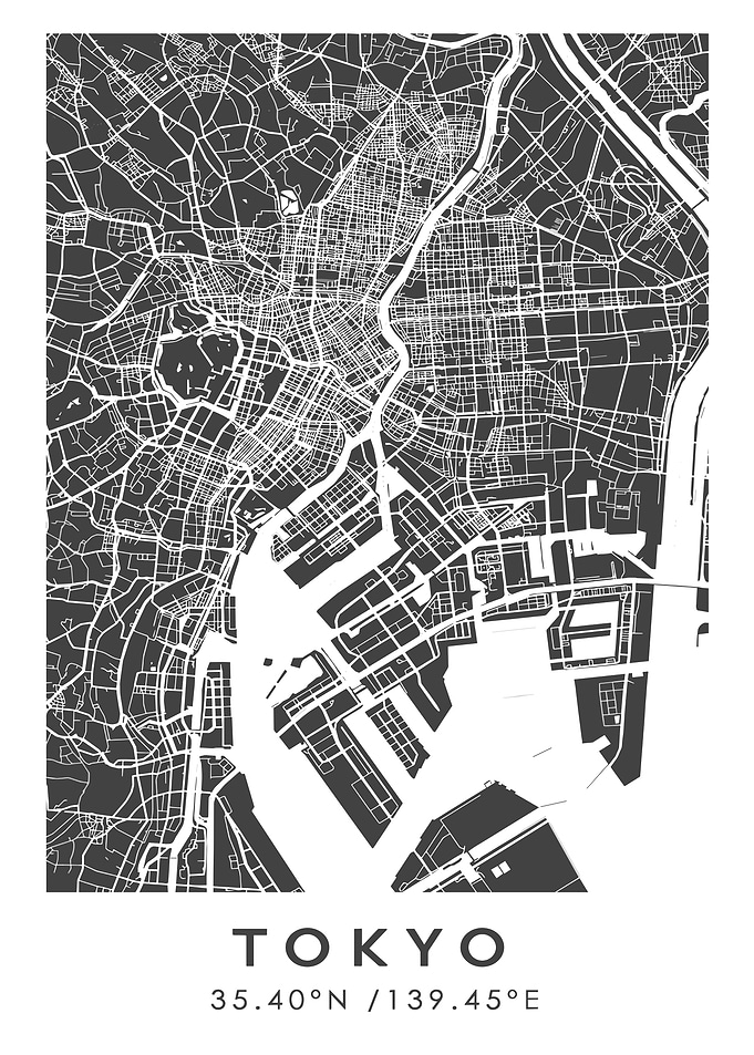 Tokyo City Map Art Print