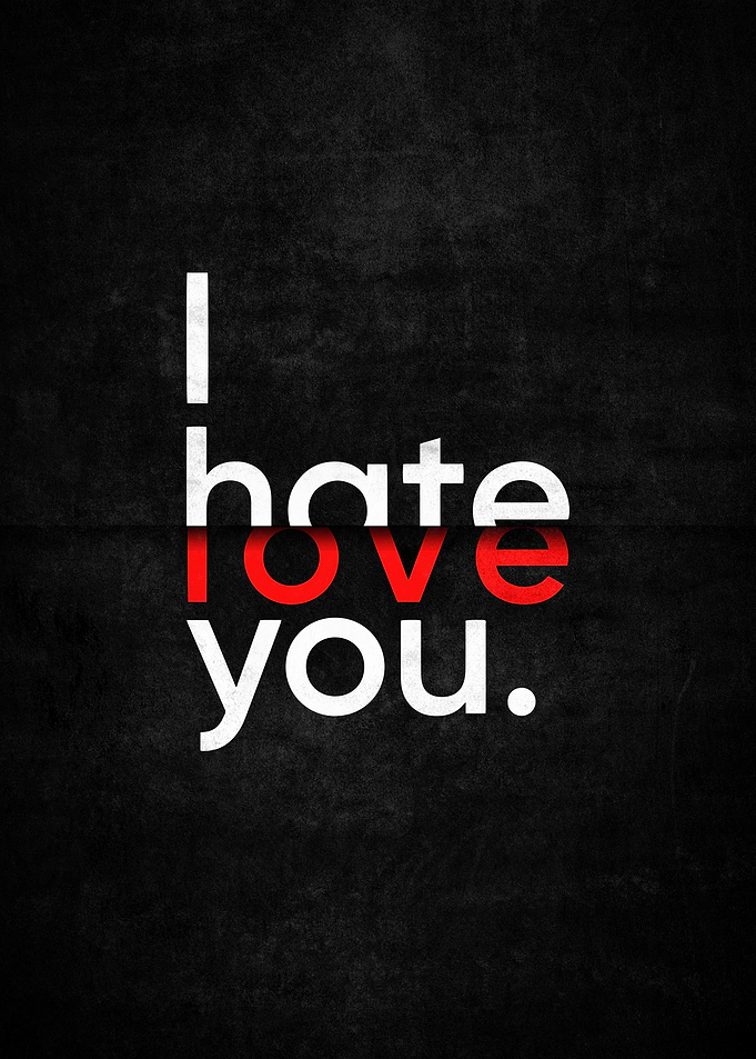 I Hate Love You Text Art