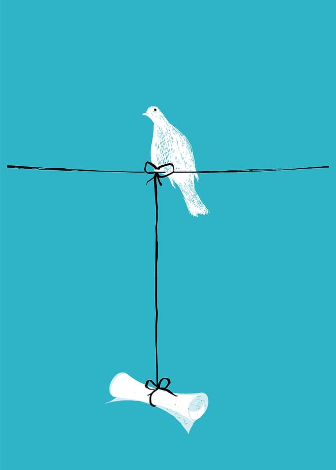 The bird of peace carries an important message