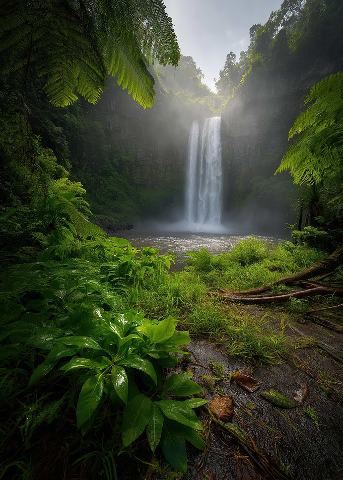 Lush Waterfall