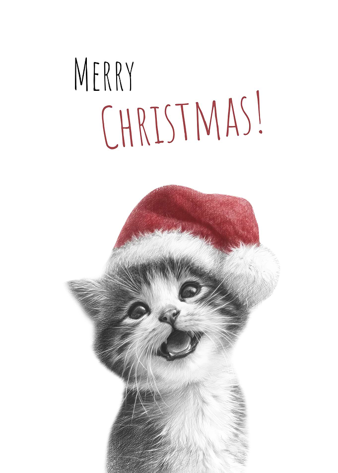 Christmas kitten