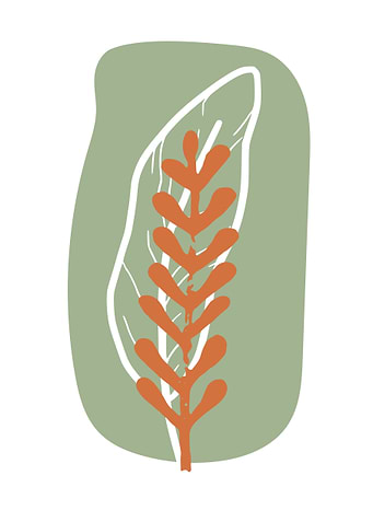Abstract Leaf Illustration