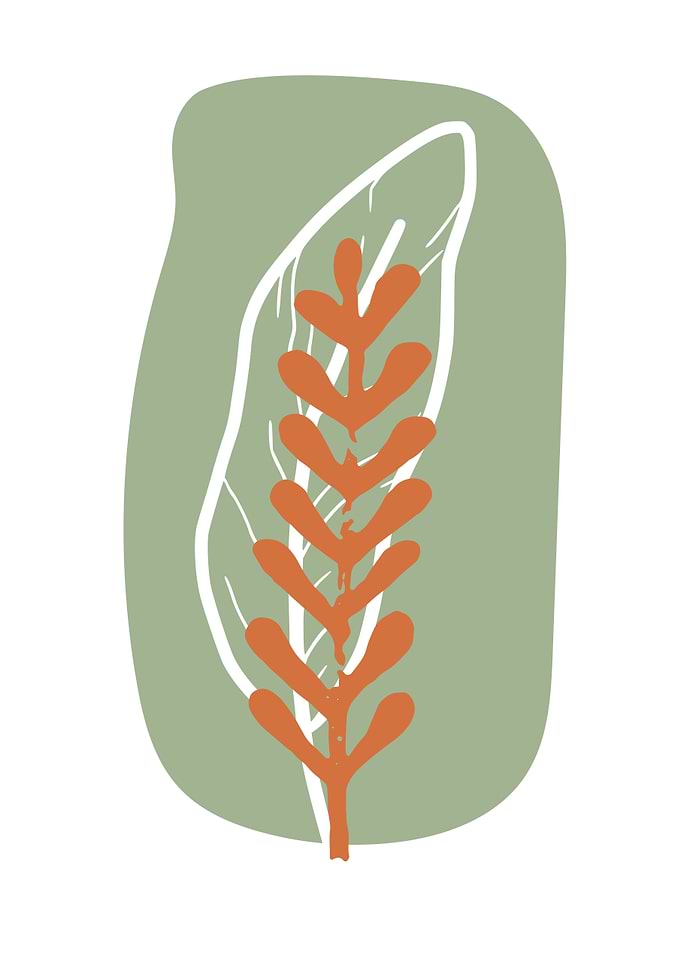 Abstract Leaf Illustration
