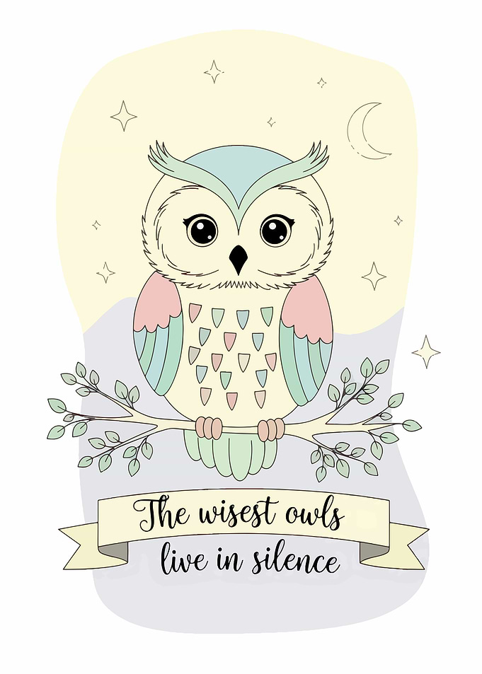 Cute Owl Illustration with Quote