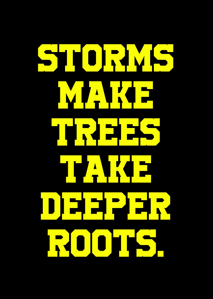 Storms Make Trees Take Deeper Roots
